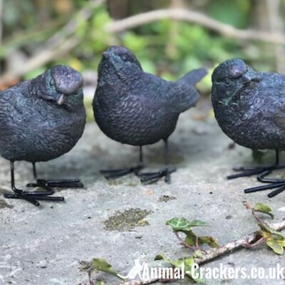 SET OF 3 bronze effect birds, sparrow, blue tit, robin lover indoor or outdoor decoration