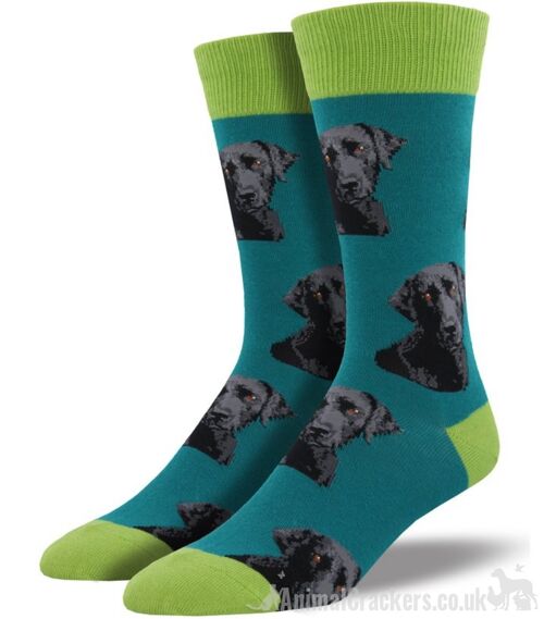 Black Labrador design Men's quality cotton mix socks from Socksmith, One Size good stocking filler