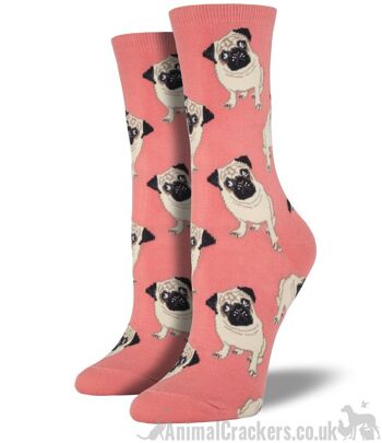 Chaussettes en coton mélangé de qualité pour femme de Socksmith, Chaussettes design Pug en bleu, rose ou noir, taille unique, cadeau de Noël pour amoureux des chiens Pug - Rose 1