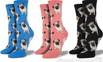 Chaussettes en coton mélangé de qualité pour femme de Socksmith, Chaussettes design Pug en bleu, rose ou noir, taille unique, cadeau de Noël pour amoureux des chiens Pug - Rose 2