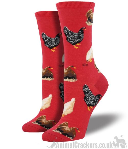 Womens Socksmith novelty Hen design socks in Red or Denim Blue, One Size, great Chicken lover gift and stocking filler - Red