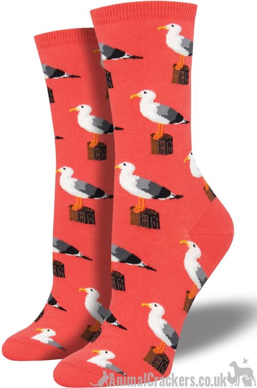 Womens Socksmith 'Gull-able'  Seagull design nautical themed socks in choice of colours, One Size Seagull lover gift - Coral Pink