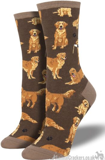 Chaussettes de qualité Socksmith pour femmes avec image Golden Retrievers, taille unique, cadeau d'amant de chien Retriever - marron