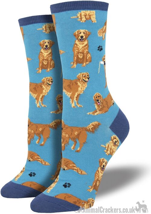 Womens Socksmith quality socks with Golden Retrievers image, One Size, Retriever Dog lover gift - Blue