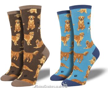 Chaussettes de qualité Socksmith pour femme avec image Golden Retrievers, taille unique, cadeau amoureux des chiens Retriever - Bleu 2