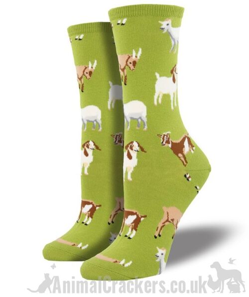 Womens quality socks by Socksmith, 'Silly Billy' Goat design socks, One Size, Goat lover stocking filler - Green