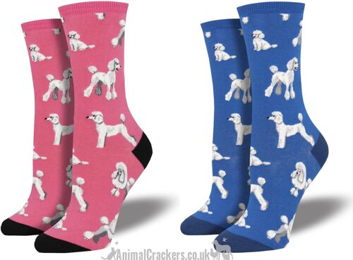 Womens Socksmith 'Oodles of Poodles' design socks in choice of colours (Pink or Blue), One Size, great Poodle lover gift