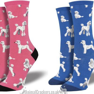 Womens Socksmith 'Oodles of Poodles' design socks in choice of colours (Pink or Blue), One Size, great Poodle lover gift
