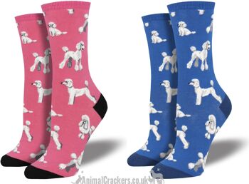 Chaussettes design Womens Socksmith 'Oodles of Poodles' au choix de couleurs (rose ou bleu), taille unique, excellent cadeau d'amant de caniche 1
