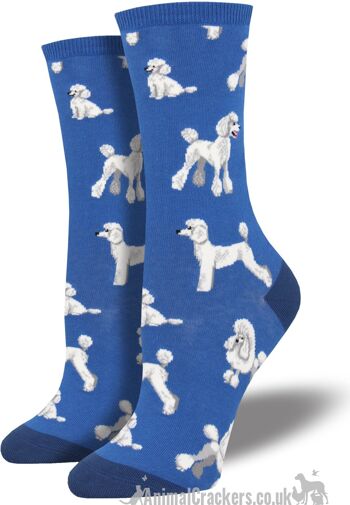 Chaussettes design Womens Socksmith 'Oodles of Poodles' au choix de couleurs (rose ou bleu), taille unique, excellent cadeau d'amant de caniche 2