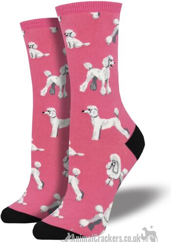 Chaussettes design Womens Socksmith 'Oodles of Poodles' au choix de couleurs (rose ou bleu), taille unique, excellent cadeau d'amant de caniche 3