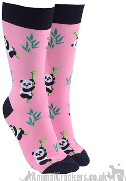 Novelty Panda design socks, Men or Women, One Size, wildlife lover gift - Pink