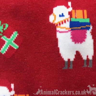 Calzini di design novità Christmas Llama Alpaca, unisex e taglia unica, calzini in misto cotone di qualità di 'Sock Society' - Rosso
