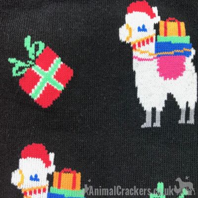 Calzini di design novità Christmas Llama Alpaca, unisex e taglia unica, calzini in misto cotone di qualità di 'Sock Society' - Nero