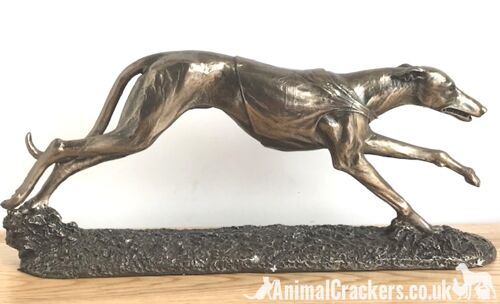 Single Racing Greyhound figurine in cold cast Bronze, fabulous ornament figurine, gift boxed