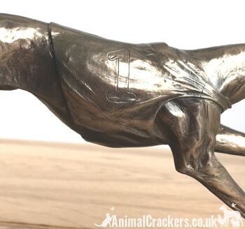 Figurine de lévrier de course unique en bronze coulé à froid, fabuleuse figurine d'ornement, coffret cadeau 4