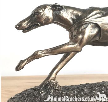 Figurine de lévrier de course unique en bronze coulé à froid, fabuleuse figurine d'ornement, coffret cadeau 6