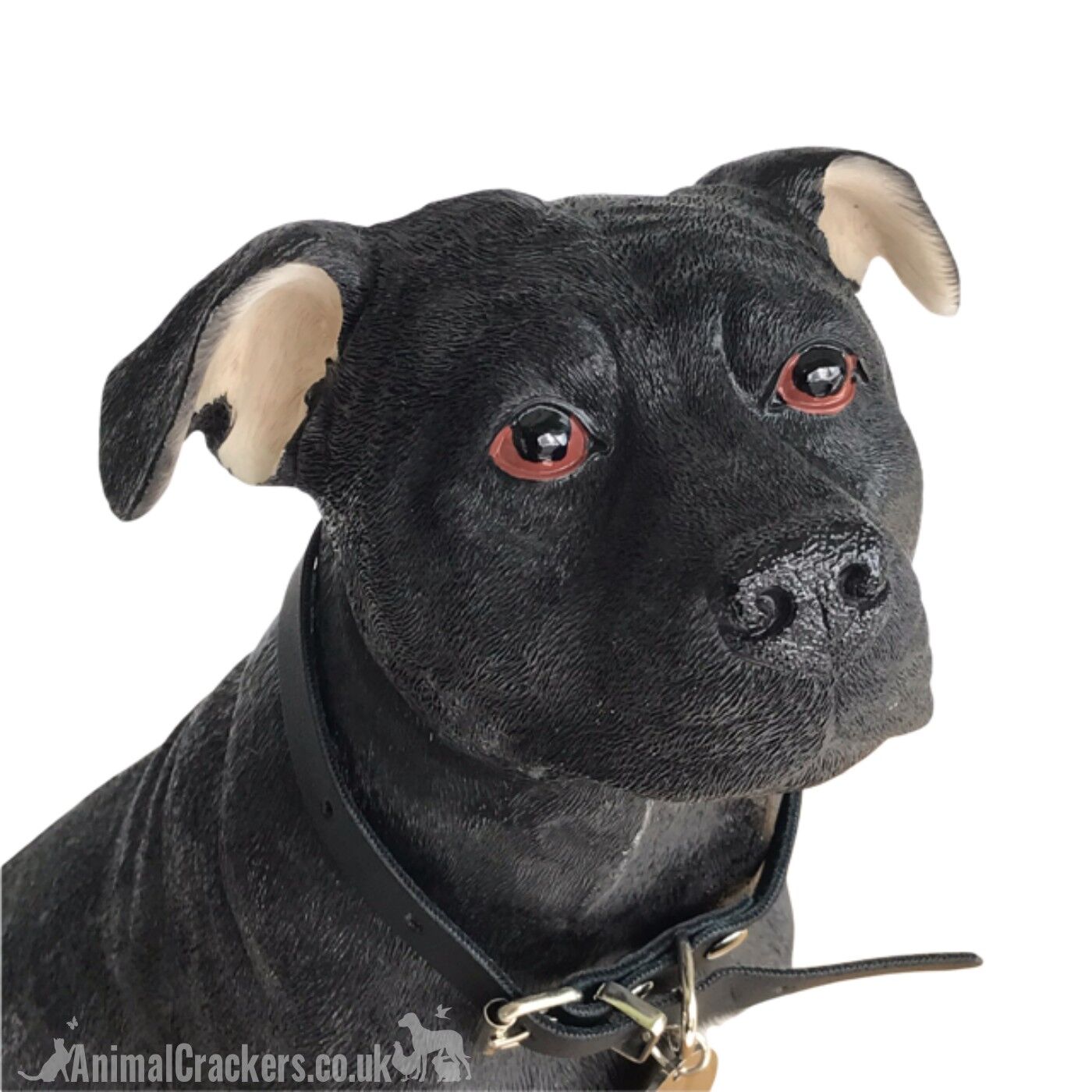 Leonardo staffordshire bull store terrier