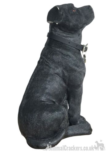 Ornement extra large de 26 cm noir et blanc Staffy Staffordshire Bull Terrier de la gamme Leonardo « Walkies ». 6