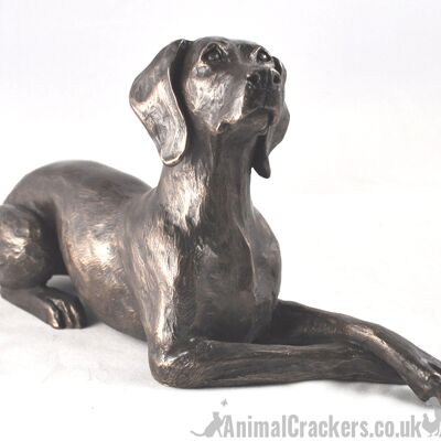 Exclusivo de Animal Crackers: fabulosa figura decorativa de Weimaraner de bronce fundido en frío de 23 cm diseñada por Harriet Glen