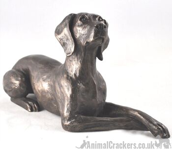 Exclusif à Animal Crackers - fabuleuse figurine décorative Weimaraner en bronze coulé à froid de 23 cm conçue par Harriet Glen 1