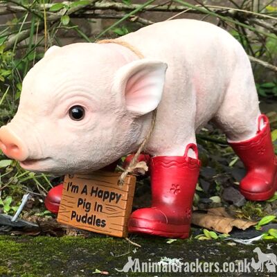 Happy Pig in Red Wellies with removable 'I'm a Happy Pig in Puddles' sign, great novelty garden ornament and Pig lover gift