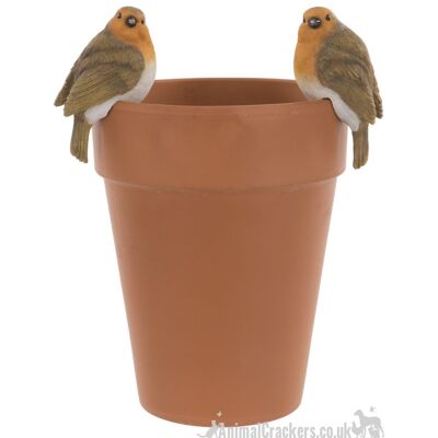 SET di 2 appendini per vasi di fiori Robin, regalo per gli amanti degli uccelli ornamento da giardino