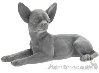 Effet velours gris portant l'ornement de figurine de Chihuahua, cadeau d'amant de Chihuahua