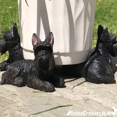 SET DI 3 supporti per vasi per piante a forma di cane Scottie o ornamenti da giardino, regalo per gli amanti di Scottish Terrier
