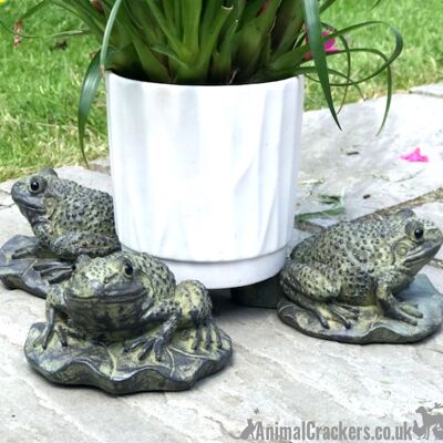 ENSEMBLE DE 3 grenouilles excentriques sur des supports de pot de plante de conception de nénuphar, ornement de jardin de nouveauté