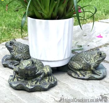 ENSEMBLE DE 3 grenouilles excentriques sur des supports de pot de plante de conception de nénuphar, ornement de jardin de nouveauté 1