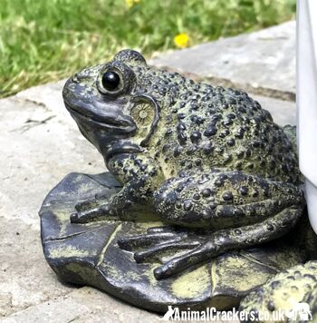 ENSEMBLE DE 3 grenouilles excentriques sur des supports de pot de plante de conception de nénuphar, ornement de jardin de nouveauté 2