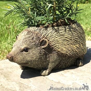 Hérisson en forme de jardinière nouveauté maison ou décoration de jardin, cadeau original d'amant de porc 1