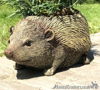 Hérisson en forme de jardinière nouveauté maison ou décoration de jardin, cadeau original d'amant de porc 3