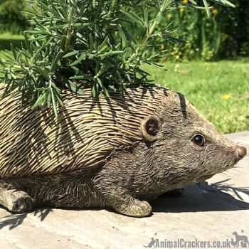 Hérisson en forme de jardinière nouveauté maison ou décoration de jardin, cadeau original d'amant de porc 5