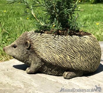 Hérisson en forme de jardinière nouveauté maison ou décoration de jardin, cadeau original d'amant de porc 6