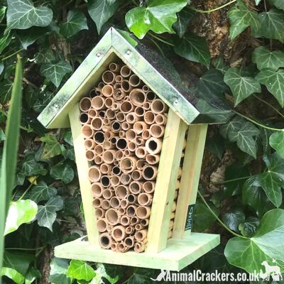 Nid d'abeille en bois épais avec pousses de bambou et toit en tôle, facile à accrocher, excellent cadeau pour les amoureux des abeilles et des insectes.