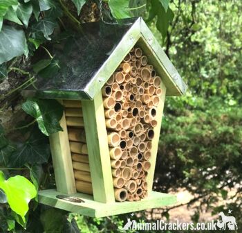 Nid d'abeille en bois épais avec pousses de bambou et toit en tôle, facile à accrocher, excellent cadeau pour les amoureux des abeilles et des insectes. 2
