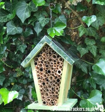Nid d'abeille en bois épais avec pousses de bambou et toit en tôle, facile à accrocher, excellent cadeau pour les amoureux des abeilles et des insectes. 6