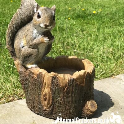 Scoiattolo su tronco d'albero, mangiatoia per noci o decorazione da giardino, un grande regalo per gli amanti dello scoiattolo