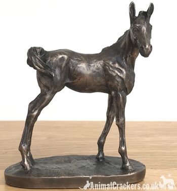 Adorable ornement de poulain en bronze coulé à froid par David Geenty, cadeau d'amant de cheval de qualité 1