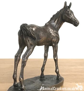 Adorable ornement de poulain en bronze coulé à froid par David Geenty, cadeau d'amant de cheval de qualité 2