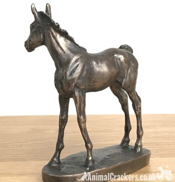 Adorable ornement de poulain en bronze coulé à froid par David Geenty, cadeau d'amant de cheval de qualité 3