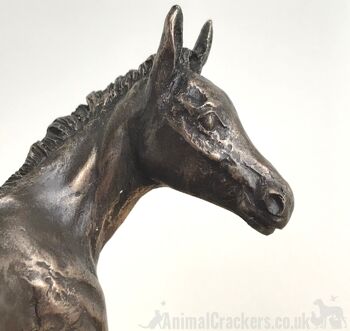 Adorable ornement de poulain en bronze coulé à froid par David Geenty, cadeau d'amant de cheval de qualité 5