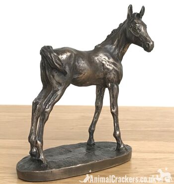 Adorable ornement de poulain en bronze coulé à froid par David Geenty, cadeau d'amant de cheval de qualité 6