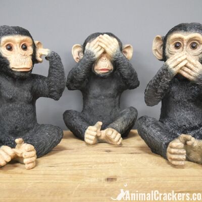 SET 3 Wise Monkeys in classic 'See, Hear, Speak no evil' poses, indoor or garden ornament, great chimp lover gift