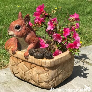 Cheeky Squirrel in Basket, jardinière ou décoration de jardin en résine, un excellent cadeau pour les amoureux des écureuils 3