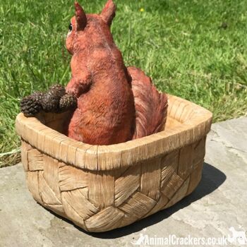 Cheeky Squirrel in Basket, jardinière ou décoration de jardin en résine, un excellent cadeau pour les amoureux des écureuils 4