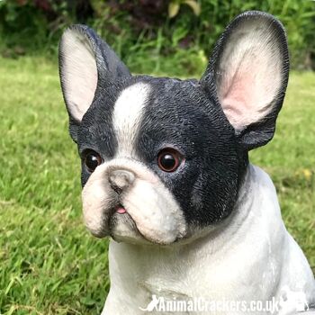 RÉDUCTION DE 20! Figurine d'ornement de chiot bouledogue français assis noir et blanc cadeau d'amant de Frenchie 3