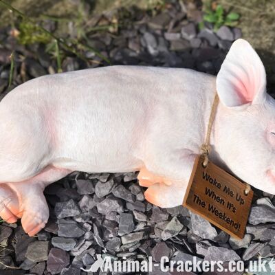 Wake Me Up at the Weekend sign Sleeping Pig adorno decoración cerdo amante regalo
